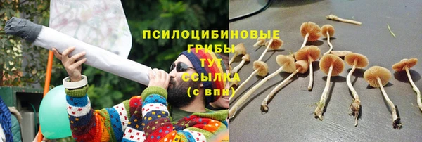 бошки Алзамай