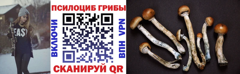 Псилоцибиновые грибы Magic Shrooms  Закаменск 